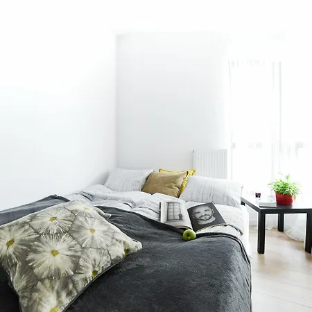 Apartamento Cosy In